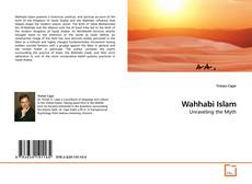 Wahhabi Islam kitap kapağı