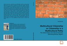 Multicultural Citizenship or Citizenship in a Multicultural Polity的封面