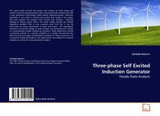 Three-phase Self Excited Induction Generator kitap kapağı