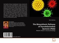 Capa do livro de The Biosynthesis Pathway of PyrroloQuinoline Quinone (PQQ) 