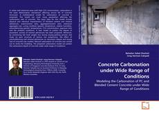 Buchcover von Concrete Carbonation under Wide Range of Conditions