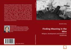 Copertina di Finding Meaning in the Mire