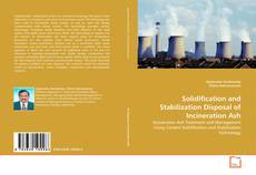 Capa do livro de Solidification and Stabilization Disposal of Incineration Ash 