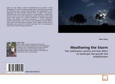 Couverture de Weathering the Storm