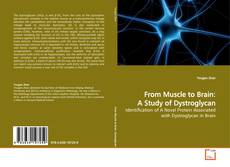 Buchcover von From Muscle to Brain: A Study of Dystroglycan