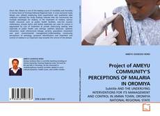 Copertina di Project of AMEYU COMMUNITY’S PERCEPTIONS OF MALARIA IN OROMIYA