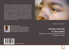 Human Security in the Sudan kitap kapağı