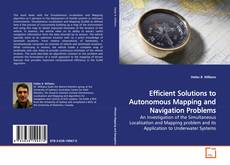 Capa do livro de Efficient Solutions to Autonomous Mapping and Navigation Problems 