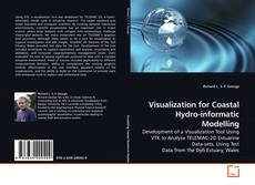 Copertina di Visualization for Coastal Hydro-informatic Modelling