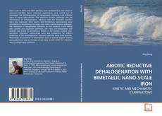 Buchcover von ABIOTIC REDUCTIVE DEHALOGENATION WITH BIMETALLIC NANO-SCALE IRON