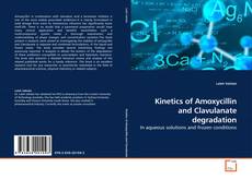 Kinetics of Amoxycillin and Clavulanate degradation的封面