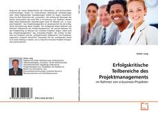 Couverture de Erfolgskritische Teilbereiche des Projektmanagements