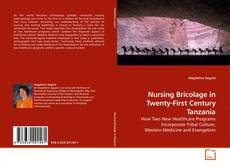 Nursing Bricolage in Twenty-First Century Tanzania的封面