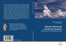 Portada del libro de Tropical Mesoscale Convective Systems