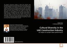 Capa do livro de Cultural Diversity in the UAE Construction Industry 