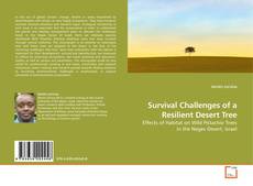 Copertina di Survival Challenges of a Resilient Desert Tree