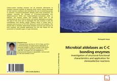 Copertina di Microbial aldolases as C-C bonding enzymes