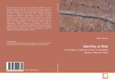 Couverture de Identity at Risk