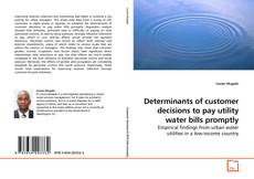 Buchcover von Determinants of customer decisions to pay utility water bills promptly