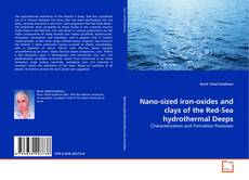 Copertina di Nano-sized iron-oxides and clays of the Red-Sea hydrothermal Deeps