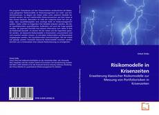 Couverture de Risikomodelle in Krisenzeiten