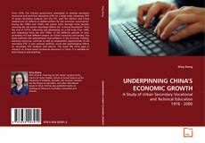 Copertina di UNDERPINNING CHINA’S ECONOMIC GROWTH