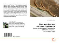 Buchcover von Divergent Paths of Inflation Stabilization
