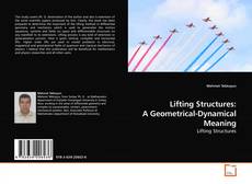 Couverture de Lifting Structures: A Geometrical-Dynamical Meaning