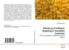 Couverture de Efficiency of Inflation Targeting in Transition Countries