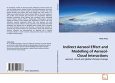 Capa do livro de Indirect Aerosol Effect and Modelling of Aerosol-Cloud Interactions 