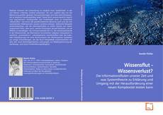 Capa do livro de Wissensflut - Wissensverlust? 