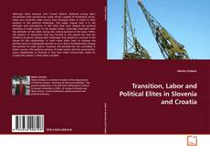 Couverture de Transition, Labor and Political Elites in Slovenia and Croatia