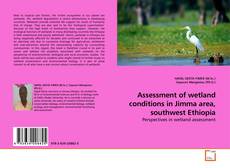 Capa do livro de Assessment of wetland conditions in Jimma area, southwest Ethiopia 
