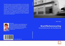 Couverture de Brachflächenrecycling