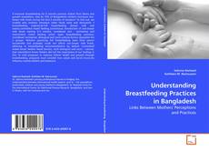 Bookcover of Understanding Breastfeeding Practices in Bangladesh