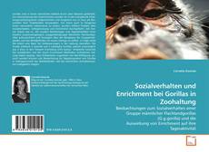 Couverture de Sozialverhalten und Enrichment bei Gorillas in Zoohaltung
