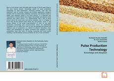 Couverture de Pulse Production Technology