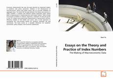 Buchcover von Essays on the Theory and Practice of Index Numbers