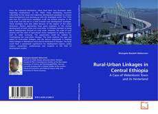 Capa do livro de Rural-Urban Linkages in Central Ethiopia 