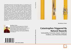 Copertina di Catastrophes Triggered By Natural Hazards
