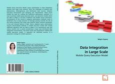 Capa do livro de Data Integration in Large Scale 