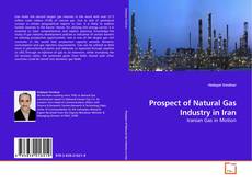 Capa do livro de Prospect of Natural Gas Industry in Iran 