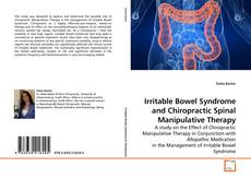 Buchcover von Irritable Bowel Syndrome and Chiropractic Spinal Manipulative Therapy