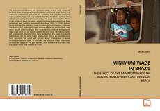 Buchcover von MINIMUM WAGE IN BRAZIL
