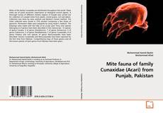 Buchcover von Mite fauna of family Cunaxidae (Acari) from Punjab, Pakistan