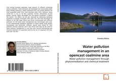 Copertina di Water pollution management in an opencast coalmine area