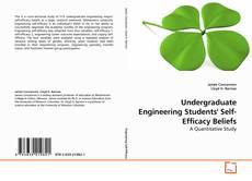 Copertina di Undergraduate Engineering Students' Self-Efficacy Beliefs