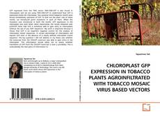 Copertina di CHLOROPLAST GFP EXPRESSION IN TOBACCO PLANTS AGROINFILTRATED WITH TOBACCO MOSAIC VIRUS BASED VECTORS