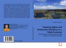 Couverture de Property Rights and Production Efficiency in a Tribal Economy