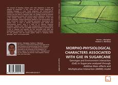 Couverture de MORPHO-PHYSIOLOGICAL CHARACTERS ASSOCIATED WITH GXE IN SUGARCANE